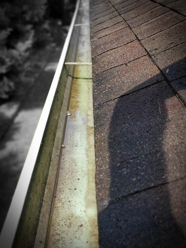 Clogged gutter full of debris and algae before cleaning by a St. Louis gutter company